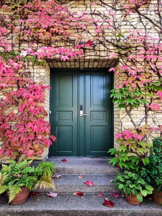 4 Easy Ways to Spruce Up Your Front Door